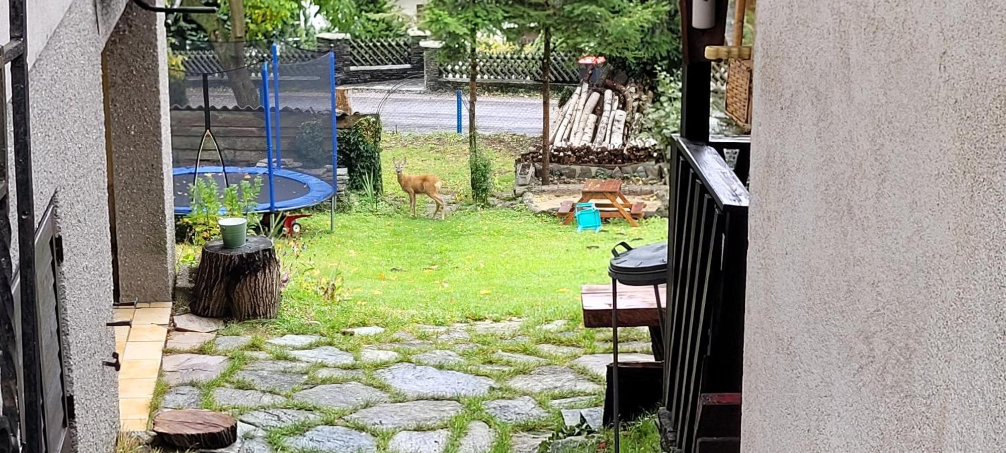 Huette Auf 1000M Hoehe In Moenichkirchen. Eksteriør bilde
